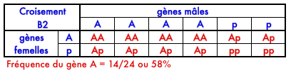 Genetique 8.png