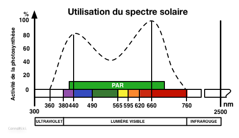 Utilisation du spectre solaire pour la photosynthèse
